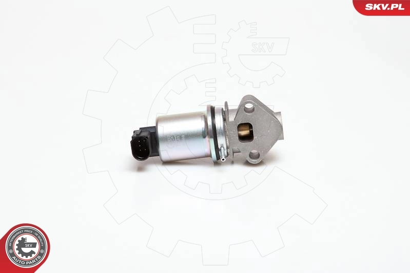 EGR Valve